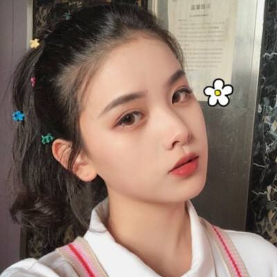 喵喵火箭队破解版下载